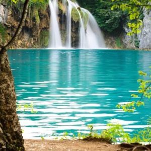 Meet your Posher, Larae